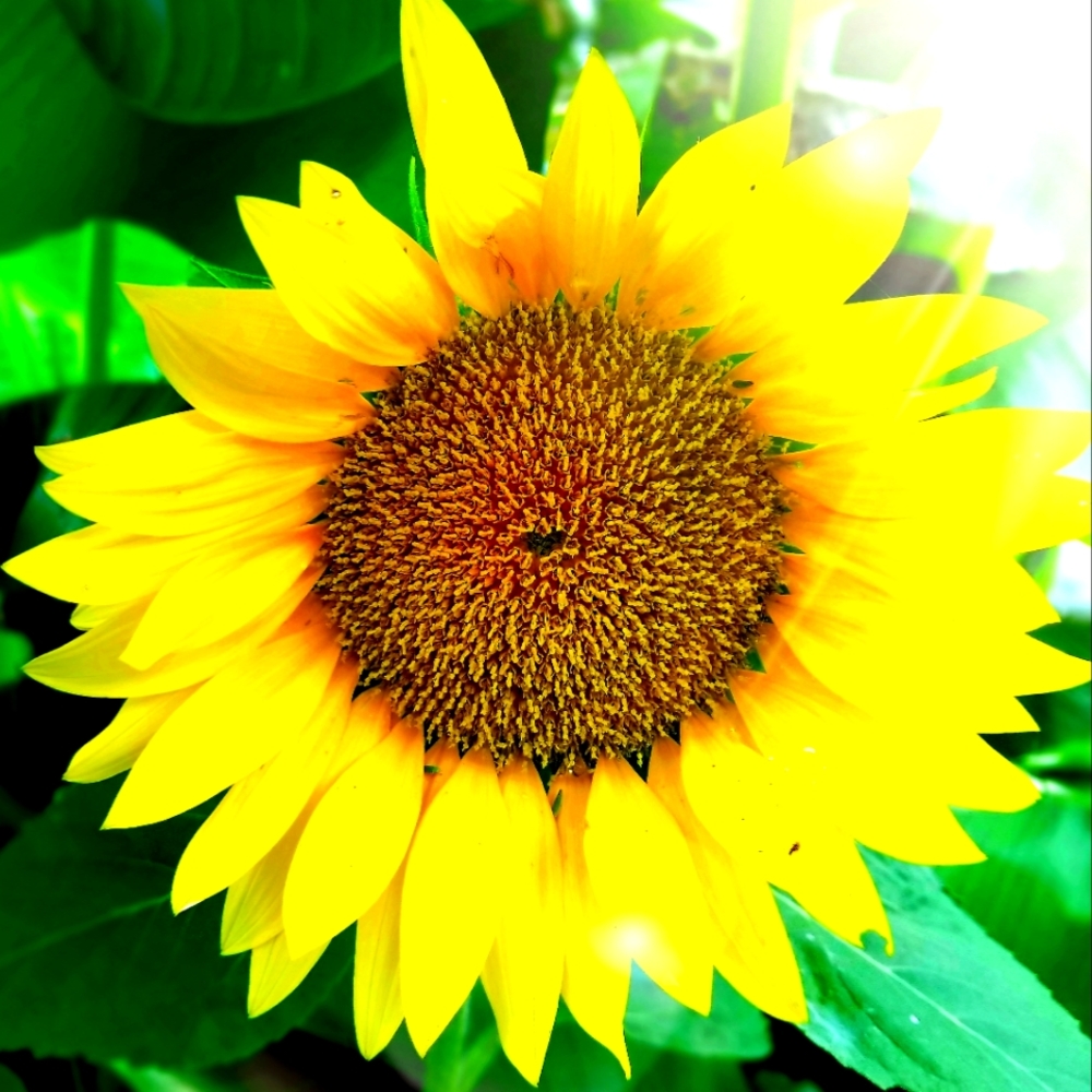 Meet your Posher, Naomi